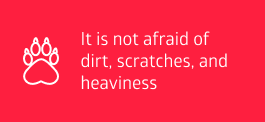 It is not afraid of dirt, scratches, and heaviness